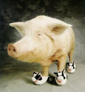 Cerdo con botas