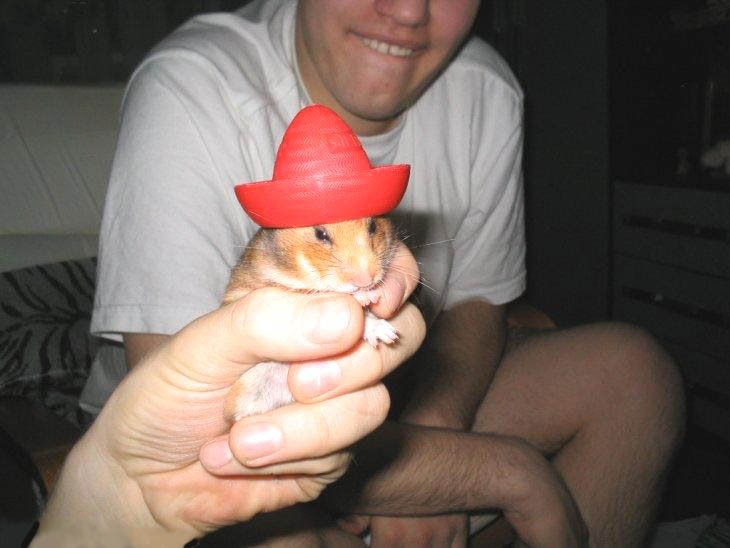 Hamster con sombrerito