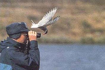 El ornitologo