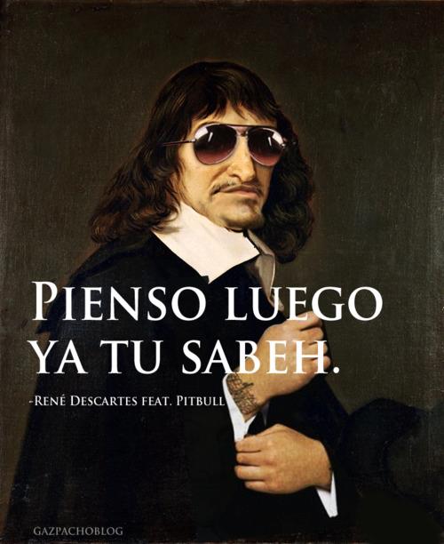 Rene Descartes feat Pitbull