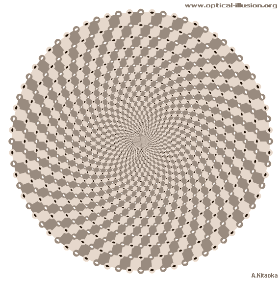 brown spiral illusion