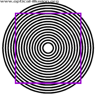 circles square illusions