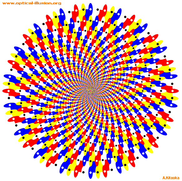 coloured spiral illusion