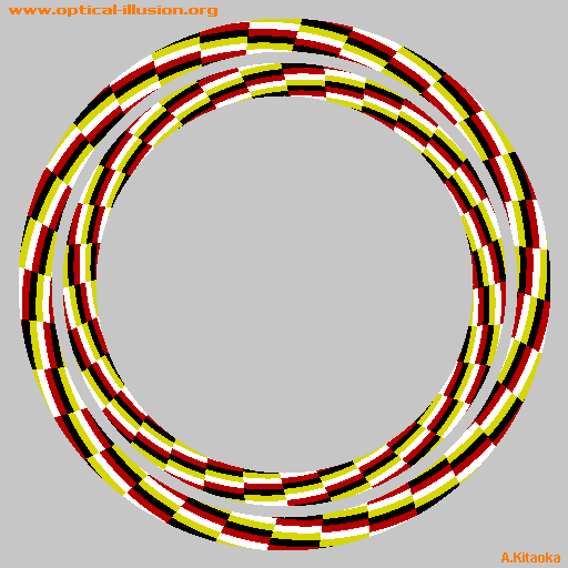 confusing circles illusion