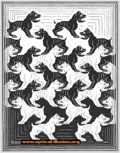 dogs illusions