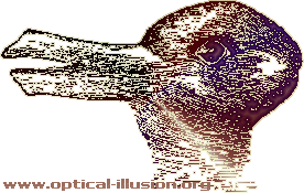 duck rabbit illusion
