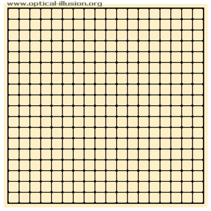 grid illusions