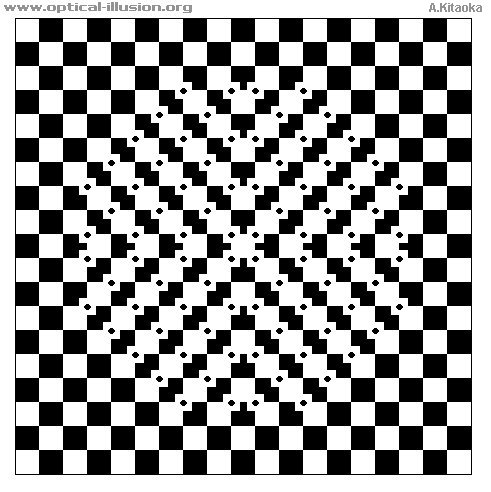 kitaoka illusion 09