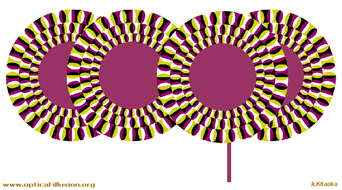 rotating spirals illusions
