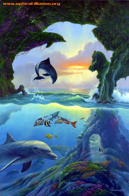 seven dolphins illusions