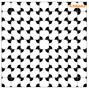 square illusion