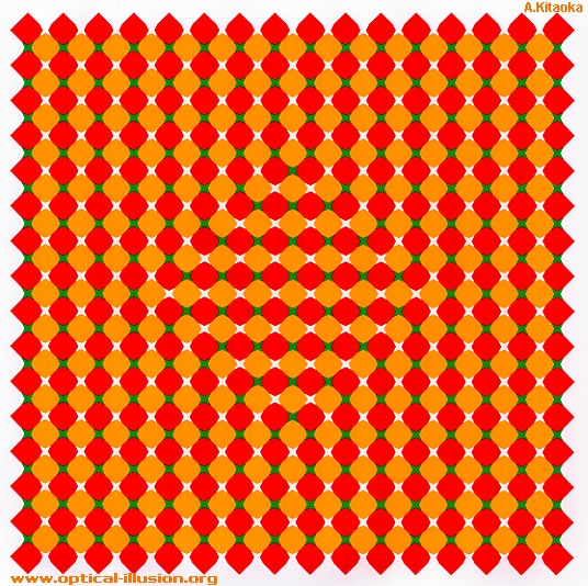 tomatoe illusion
