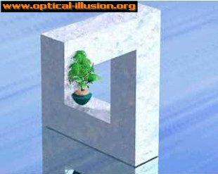 wall illusion 01
