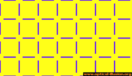 yellow circles illusion