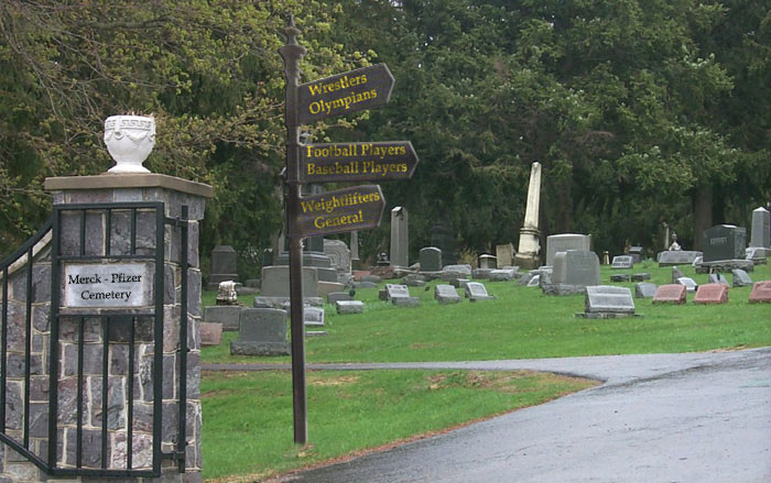 Cementerio organizado