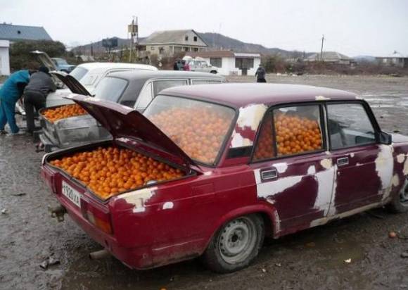 Vendo naranjas