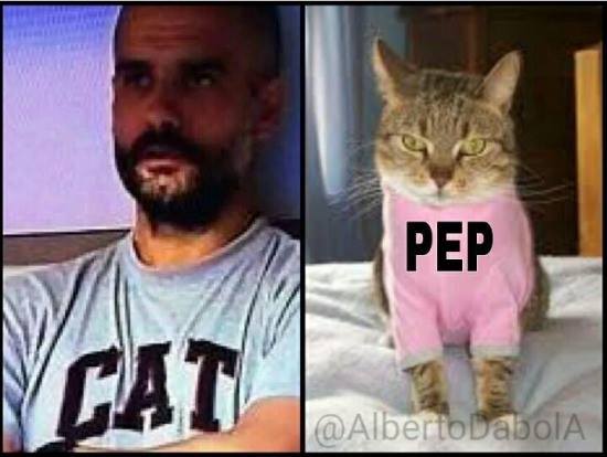 CAT vs PEP