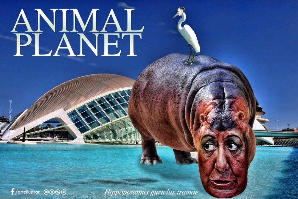 Animal Planet en Valencia