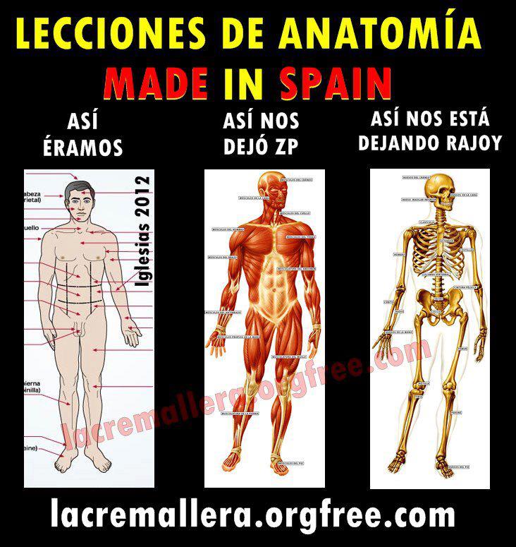 Lecciones de anatomia Made in Spain
