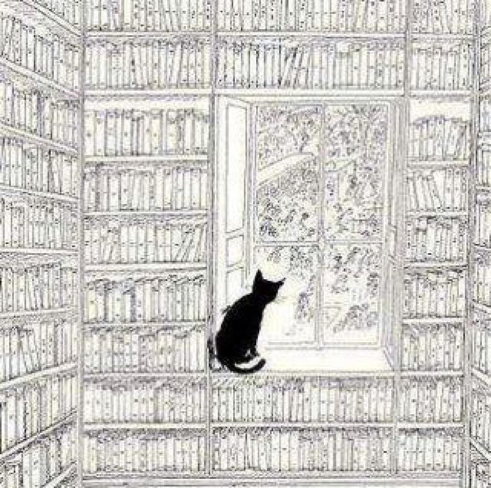 Gato y biblioteca