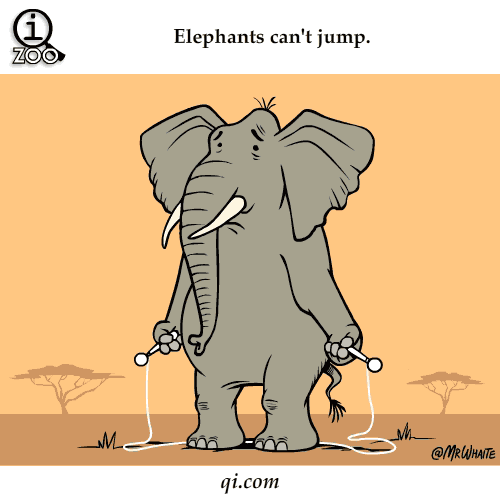 Los elefantes no pueden saltar