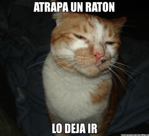 Atrapa un raton-Lo deja ir