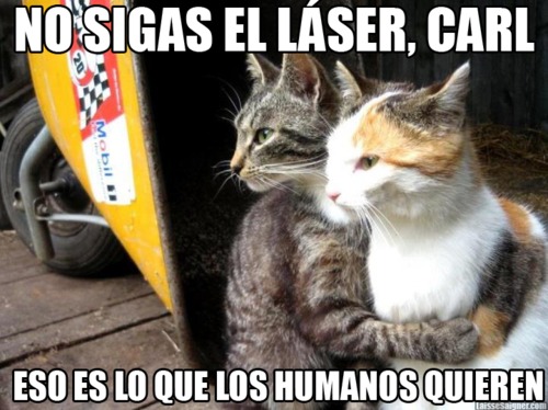 Consejo