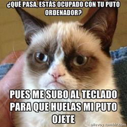 El gato malhumorado 07