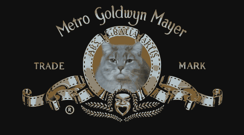 Metro Goldwyn Miau