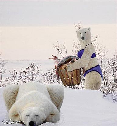 Pareja de osos