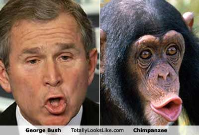 George Bush-Parecidos sorprendentes