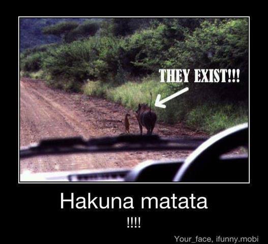 Hakuna matata