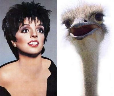 Parecido-Liza Minnelli