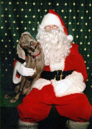 papa Noel y perro