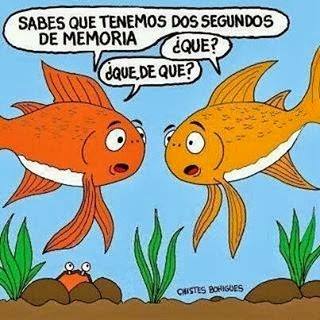 La memoria de los peces