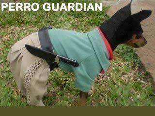 Perro Guardian