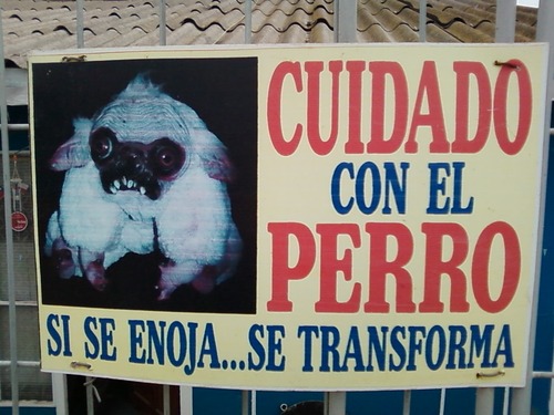 Perro Transformer