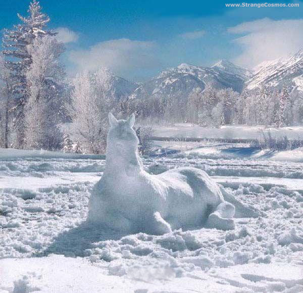 Caballo de nieve