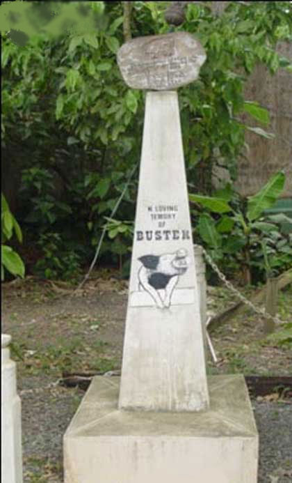 La tumba del cerdito Buster