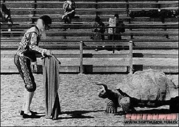 Toreros ancianos