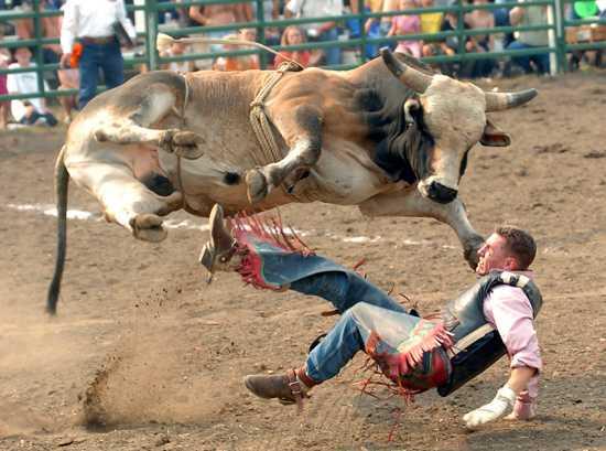 Vaquero por los suelos