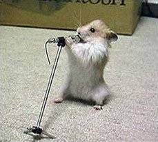 hamstersinger