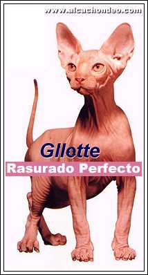 Gilette