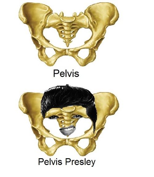 Pelvis Presley