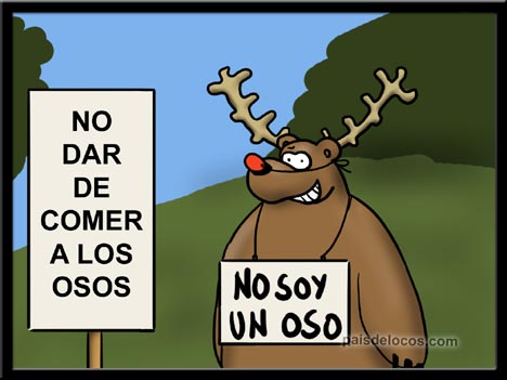 No es un oso