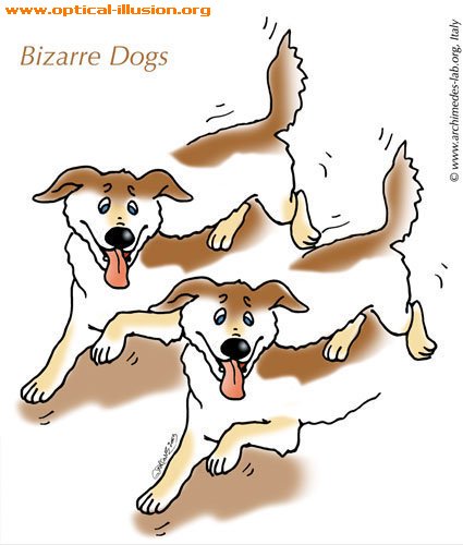 Bizarre Dogs! Something terrible must have happened :) (The image is Copyright Archimedes-Lab)