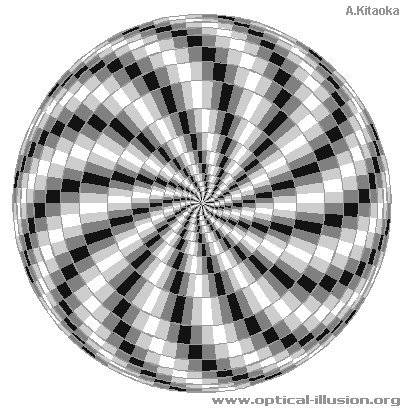 Black and white spiral. (The image is Copyright A. Kitaoka)