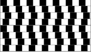 Parallel lines appears to be curved.