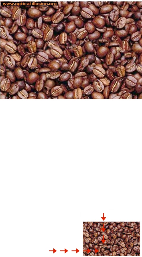 Can you find the face amoung the coffee beans?