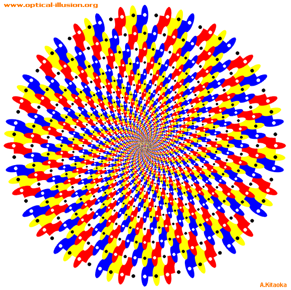 Coloured spiral. (The image is Copyright A. Kitaoka)